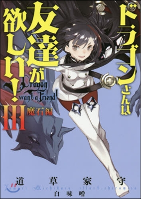 ドラゴンさんは友達が欲しい!(3)魔石編 