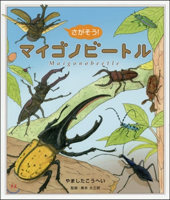 さがそう!マイゴノビ-トル