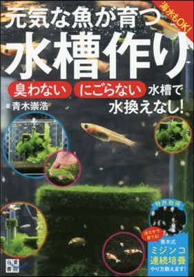 元氣な魚が育つ水槽作り