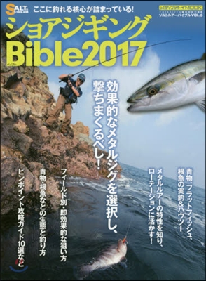 ’17 ショアジギングBible