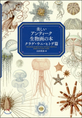 美しいアンティ-ク生物畵の本 クラゲ.ウニ.ヒトデ篇