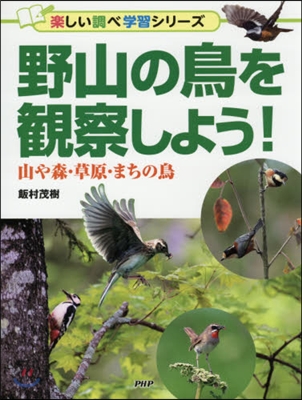 野山の鳥を觀察しよう! 山や森.草原.ま