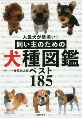 飼い主のための犬種圖鑑ベスト185