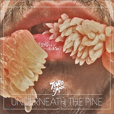 Toro Y Moi - Underneath The Pine