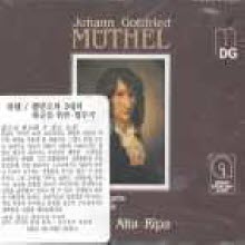 Musica Alta Ripa - Muthel : Concerts (수입/2CD/mdg32504522)