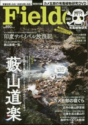 Fielder(フィ-ルダ-) Vol.34