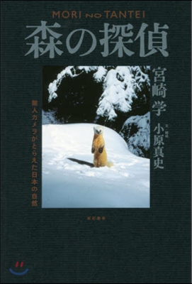 森の探偵 無人カメラがとらえた日本の自然
