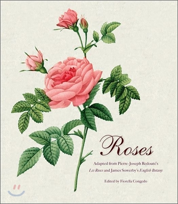 Roses: Mini Archive with DVD