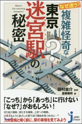 なぜ迷う?複雜怪奇な東京迷宮驛の秘密