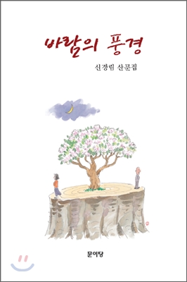 바람의 풍경