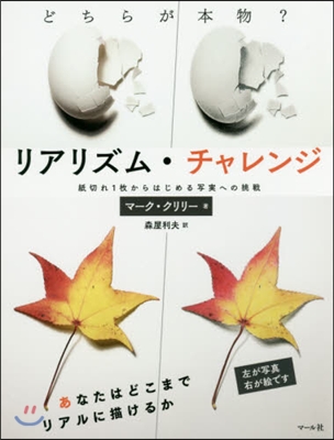 リアリズム.チャレンジ 紙切れ1枚からは