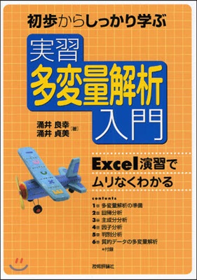 初步からしっかり學ぶ實習多變量解析入門 Excel演習でムリなくわかる