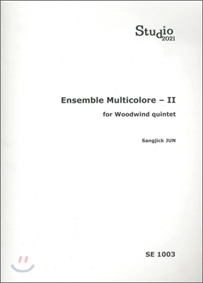 ENSEMBLE MULTICOLORE 2