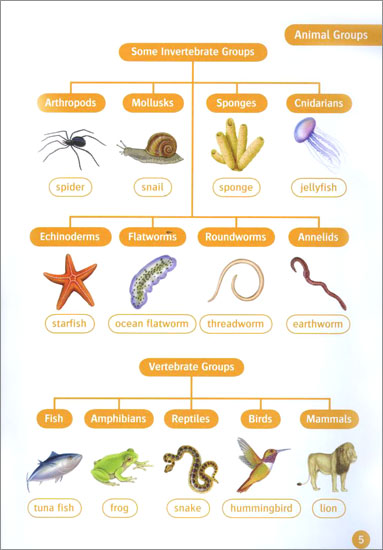 Oxford Read and Discover: Level 5: Animal Life Cycles