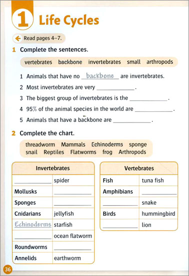 Oxford Read and Discover: Level 5: Animal Life Cycles