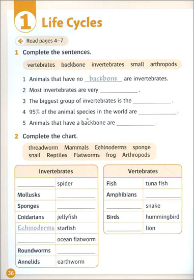 Oxford Read and Discover: Level 5: Animal Life Cycles Audio Pack