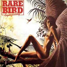 [LP아닌 TAPE] Rare Bird - Sympathy