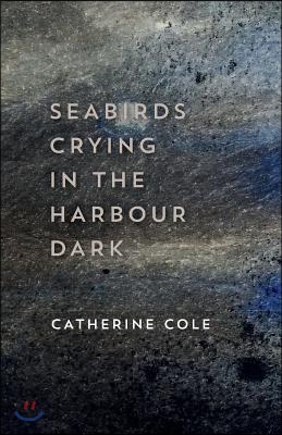 Seabirds Crying in the Harbour Dark