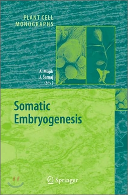 Somatic Embryogenesis