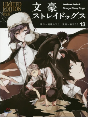 文豪ストレイドッグス 13 オリジナルアニメBD付き限定版