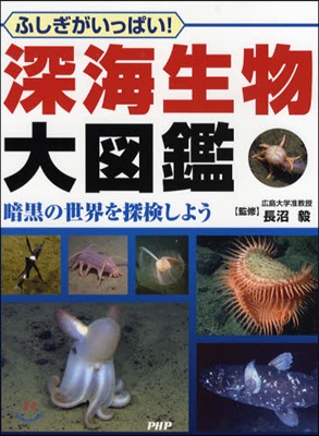 深海生物大圖鑑 ふしぎがいっぱい! 暗黑の世界を探檢しよう