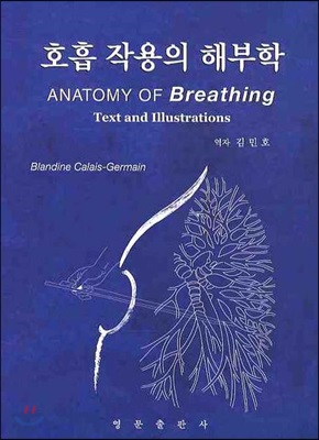 호흡 작용의 해부학