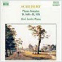 Jeno Jando - Schubert : Piano Sonatas No.21 D.960, No.19 D.958 (수입/8550475)