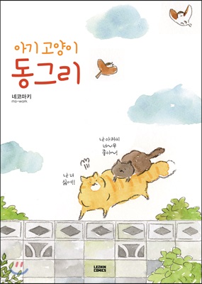 아기 고양이 동그리