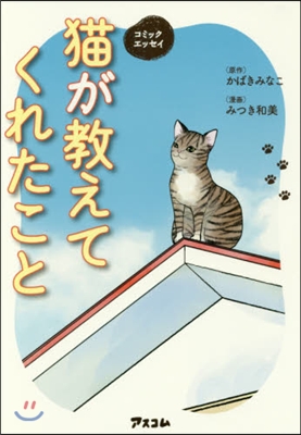 猫が敎えてくれたこと