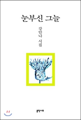 [중고-최상] 눈부신 그늘