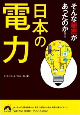 日本の電力 そんな秘密があったのか!