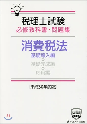 平30 消費稅法 基礎導入編