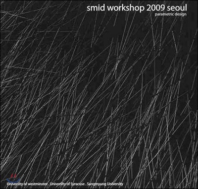 Smid Workshop 2009 SEOUL