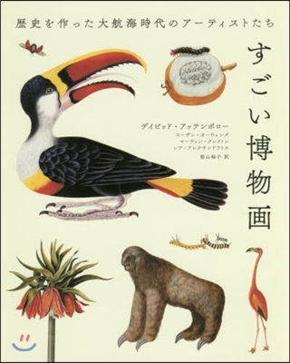 すごい博物畵 歷史を作った大航海時代のア