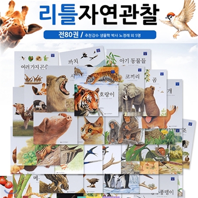 한국헤밍웨이 사진과 세밀화로 보는 자연관찰 (전80권)