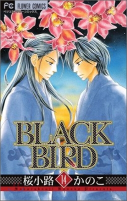 BLACK BIRD 14