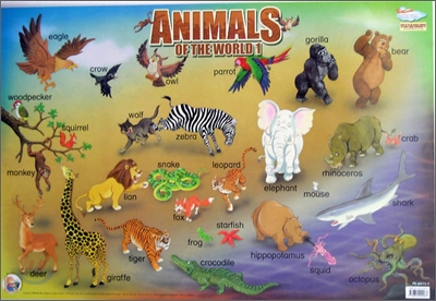 Animals of the World 1