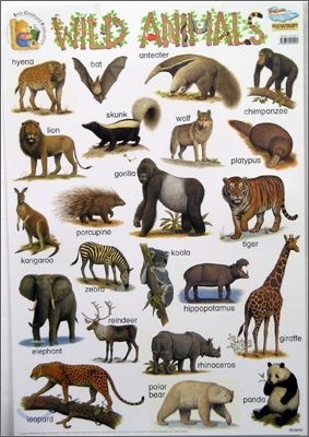 Wild Animals