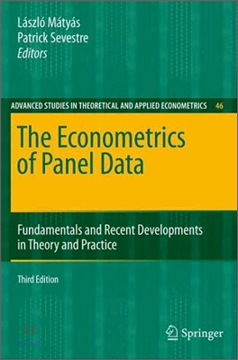 The Econometrics of Panel Data: Fundamentals and Recent Developments in Theory and Practice