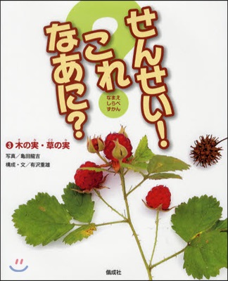 せんせい!これなあに? なまえしらべずかん 3