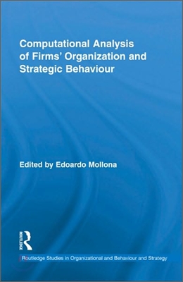 Computational Analysis of Firms' Organization and Strategic Behaviour