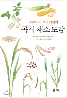 세밀화로 그린 보리 어린이 곡식 채소 도감 (양장)