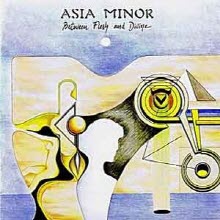 [시완 TAPE] Asia Minor - Between Flesh And Divine (srml3005)