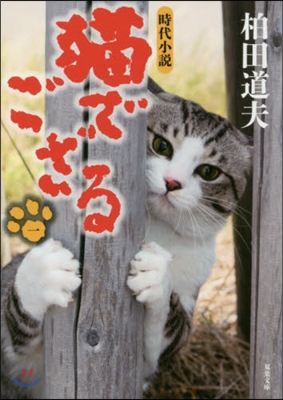 猫でござる(1)