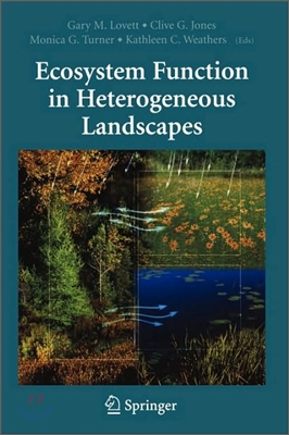 Ecosystem Function in Heterogeneous Landscapes