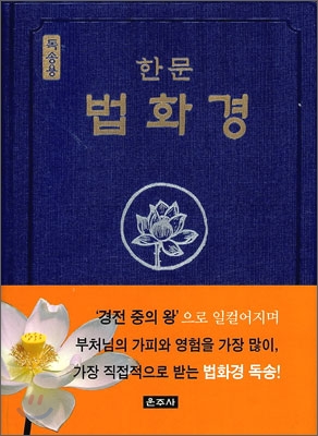 한문 법화경