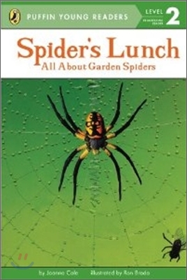 Spider&#39;s Lunch