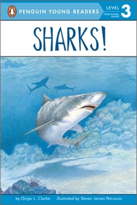 Sharks! (Paperback)