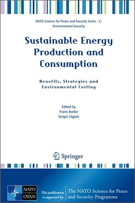 Sustainable Energy Production and Consumption: Benefits, Strategies and Environmental Costing