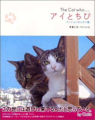 The Cat who…アイとちび